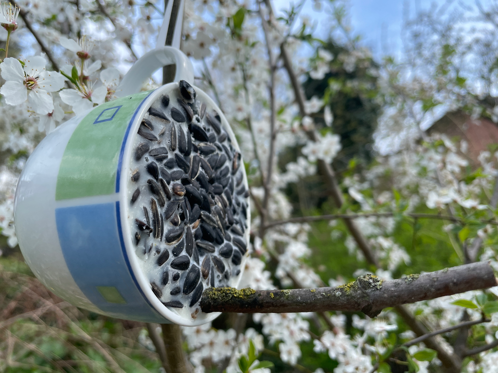 Vogeltasse: Füttern mit Freude (Klein)